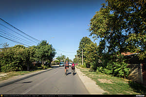 Trasee cu bicicleta MTB XC - Traseu SSP Bucuresti - Magurele - Domnesti - Tantava - Bucsani - Bulbucata - Iepuresti - Calugareni - 1 Decembrie - Alunisu - Bucuresti de Andrei Vocurek