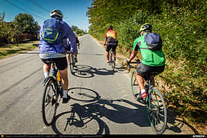 Trasee cu bicicleta MTB XC - Traseu SSP Bucuresti - Magurele - Domnesti - Tantava - Bucsani - Bulbucata - Iepuresti - Calugareni - 1 Decembrie - Alunisu - Bucuresti de Andrei Vocurek