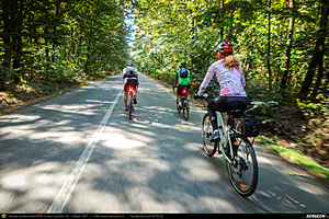 Trasee cu bicicleta MTB XC - Traseu SSP Bucuresti - Magurele - Domnesti - Tantava - Bucsani - Bulbucata - Iepuresti - Calugareni - 1 Decembrie - Alunisu - Bucuresti de Andrei Vocurek