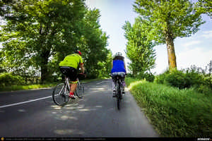 Trasee cu bicicleta MTB XC - Traseu SSP Bucuresti - 1 Decembrie - Gradistea - Comana - Vlad Tepes - Mogosesti - Jilava - Bucuresti (bujorul de padure in Parcul Natural Comana) de Andrei Vocurek