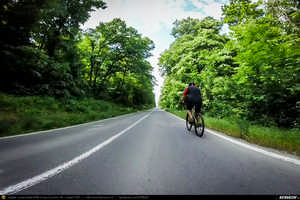 Trasee cu bicicleta MTB XC - Traseu SSP Bucuresti - 1 Decembrie - Gradistea - Comana - Vlad Tepes - Mogosesti - Jilava - Bucuresti (bujorul de padure in Parcul Natural Comana) de Andrei Vocurek