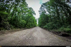 Trasee cu bicicleta MTB XC - Traseu SSP Bucuresti - 1 Decembrie - Gradistea - Comana - Vlad Tepes - Mogosesti - Jilava - Bucuresti (bujorul de padure in Parcul Natural Comana) de Andrei Vocurek