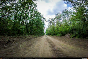 Trasee cu bicicleta MTB XC - Traseu SSP Bucuresti - 1 Decembrie - Gradistea - Comana - Vlad Tepes - Mogosesti - Jilava - Bucuresti (bujorul de padure in Parcul Natural Comana) de Andrei Vocurek