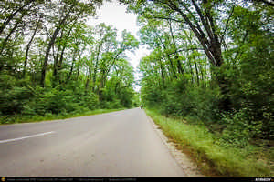 Trasee cu bicicleta MTB XC - Traseu SSP Bucuresti - 1 Decembrie - Gradistea - Comana - Vlad Tepes - Mogosesti - Jilava - Bucuresti (bujorul de padure in Parcul Natural Comana) de Andrei Vocurek