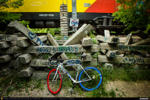 Trasee cu bicicleta MTB XC - Traseu SSP Bucuresti - 1 Decembrie - Gradistea - Comana - Vlad Tepes - Mogosesti - Jilava - Bucuresti (bujorul de padure in Parcul Natural Comana) de Andrei Vocurek