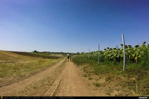 Trasee cu bicicleta MTB XC - Traseu SSP Bucuresti - Jilava - Magurele - Clinceni - Domnesti - Tantava - Zorile - Hobaia - Ogrezeni - Podisor si retur (Livada cu Lavanda) de Andrei Vocurek