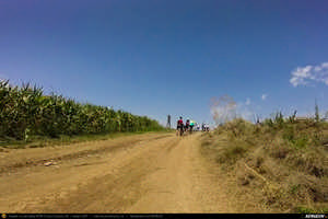 Trasee cu bicicleta MTB XC - Traseu SSP Bucuresti - Jilava - Magurele - Clinceni - Domnesti - Tantava - Zorile - Hobaia - Ogrezeni - Podisor si retur (Livada cu Lavanda) de Andrei Vocurek