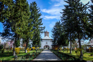 Trasee cu bicicleta MTB XC - Traseu SSP Bucuresti - Alunisu - Magurele - Ciorogarla - Bolintin-Deal - Tantava - Darvari - Clinceni - Magurele - Bucuresti: Manastirea Samurcasesti de Andrei Vocurek