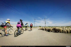 Trasee cu bicicleta MTB XC - Traseu SSP Ploiesti - Strejnicu - Targsoru Nou - Aricestii Rahtivani - Floresti - Magureni - Iedera de Jos - Moreni - Filipestii de Targ - Aricestii Rahtivani - Targsoru Nou - Strejnicu (Drumul Voievozilor / Via Muntenia) de Andrei Vocurek