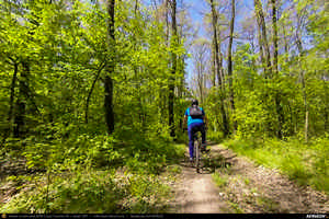 Trasee cu bicicleta MTB XC - Traseu SSP Bucuresti - Tunari - Balotesti - Tancabesti - Ciolpani - Silistea Snagovului - Gruiu - Lipia - Moara Vlasiei - Dascalu - Bucuresti de Andrei Vocurek