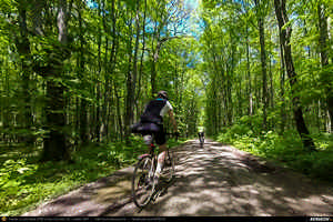 Trasee cu bicicleta MTB XC - Traseu SSP Bucuresti - Tunari - Balotesti - Tancabesti - Ciolpani - Silistea Snagovului - Gruiu - Lipia - Moara Vlasiei - Dascalu - Bucuresti de Andrei Vocurek
