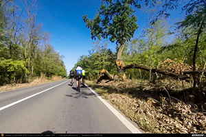 Trasee cu bicicleta MTB XC - Traseu SSP Bucuresti - Cernica - Fundeni - Plataresti - Podu Pitarului - Cucuieti - Galbinasi - Vasilati - Budesti - Soldanu - Curcani - Luica - Nana - Solacolu - Fundulea - Islaz - Branesti - Vadu Anei - Fundeni - Posta - Balaceanca - Glina - Bucuresti * de Andrei Vocurek