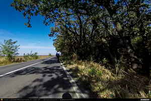 Trasee cu bicicleta MTB XC - Traseu SSP Bucuresti - Cernica - Fundeni - Plataresti - Podu Pitarului - Cucuieti - Galbinasi - Vasilati - Budesti - Soldanu - Curcani - Luica - Nana - Solacolu - Fundulea - Islaz - Branesti - Vadu Anei - Fundeni - Posta - Balaceanca - Glina - Bucuresti * de Andrei Vocurek