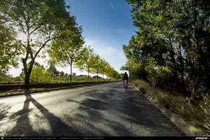 Trasee cu bicicleta MTB XC - Traseu SSP Bucuresti - Cernica - Fundeni - Plataresti - Podu Pitarului - Cucuieti - Galbinasi - Vasilati - Budesti - Soldanu - Curcani - Luica - Nana - Solacolu - Fundulea - Islaz - Branesti - Vadu Anei - Fundeni - Posta - Balaceanca - Glina - Bucuresti * de Andrei Vocurek