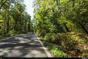 Trasee cu bicicleta MTB XC - Traseu SSP Bucuresti - Alunisu - Darasti-Ilfov - 1 Decembrie - Mogosesti - Gradistea - Comana - Mihai Bravu - Uzunu - Crucea de Piatra - Calugareni - Budeni - Gradistea -  Varlaam - Adunatii-Copaceni - 1 Decembrie - Jilava - Bucuresti * de Andrei Vocurek