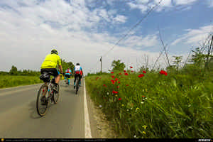 Trasee cu bicicleta MTB XC - Traseu SSP Oltenita - Chirnogi - Valea Popii - Radovanu - Crivat - Hotarele - Greaca - Prundu - Falastoaca - Gradistea - Adunatii-Copaceni - Bucuresti de Andrei Vocurek