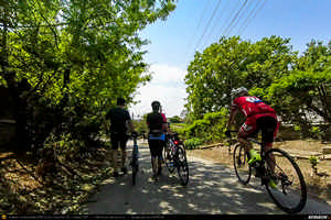 Trasee cu bicicleta MTB XC - Traseu SSP Oltenita - Chirnogi - Valea Popii - Radovanu - Crivat - Hotarele - Greaca - Prundu - Falastoaca - Gradistea - Adunatii-Copaceni - Bucuresti de Andrei Vocurek
