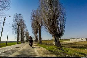 Trasee cu bicicleta MTB XC - Traseu SSP Bucuresti - Darasti-Ilfov - 1 Decembrie - Darasti-Vlasca - Mihailesti - Adunatii-Copaceni - Bucuresti * de Andrei Vocurek