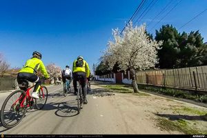 Trasee cu bicicleta MTB XC - Traseu SSP Bucuresti - Darasti-Ilfov - 1 Decembrie - Darasti-Vlasca - Mihailesti - Adunatii-Copaceni - Bucuresti * de Andrei Vocurek