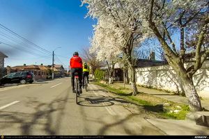 Trasee cu bicicleta MTB XC - Traseu SSP Bucuresti - Darasti-Ilfov - 1 Decembrie - Darasti-Vlasca - Mihailesti - Adunatii-Copaceni - Bucuresti * de Andrei Vocurek