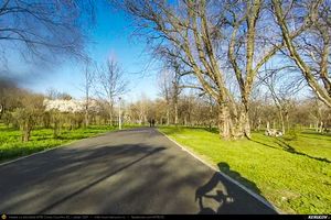 Trasee cu bicicleta MTB XC - Traseu SSP Bucuresti - Darasti-Ilfov - 1 Decembrie - Darasti-Vlasca - Mihailesti - Adunatii-Copaceni - Bucuresti * de Andrei Vocurek