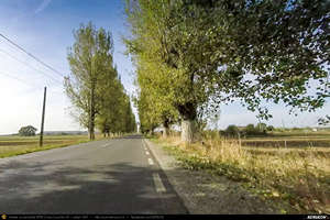 Trasee cu bicicleta MTB XC - Traseu SSP Bucuresti - 1 Decembrie - Novaci - Mihailesti - Singureni - Stejaru - Adunatii-Copaceni - Alunisu - Bucuresti de Andrei Vocurek