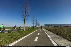Trasee cu bicicleta MTB XC - Traseu SSP Bucuresti - Chiajna - Joita - Floresti - Potlogi - Ulmi - Bolintin-Deal - Tantava - Darvari - Clinceni - Magurele - Bucuresti (Palatul Brancovenesc de la Potlogi) * de Andrei Vocurek