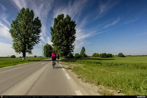 Trasee cu bicicleta MTB XC - Traseu SSP Bucuresti - Alunisu - Darasti-Ilfov - 1 Decembrie - Copaceni - Cretesti - Vidra - Dobreni - Campurelu - Colibasi - Falastoaca - Comana - Mihai Bravu - Uzunu - Crucea de Piatra - Calugareni - Adunatii-Copaceni - 1 Decembrie - Alunisu - Bucuresti de Andrei Vocurek