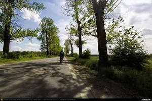 Trasee cu bicicleta MTB XC - Traseu SSP Bucuresti - Tunari - Balotesti - Caciulati - Moara Vlasiei - Gradistea - Fierbinti-Targ - Nuci - Merii Petchii - Nuci - Lipia - Caldarusani - Gradistea - Gagu - Dascalu - Stefanesti - Tunari - Bucuresti de Andrei Vocurek