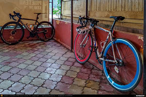 Trasee cu bicicleta MTB XC - Traseu SSP Bucuresti - Alunisu - Darasti-Ilfov - 1 Decembrie - Darasti-Vlasca - Singureni (si retur) * de Andrei Vocurek
