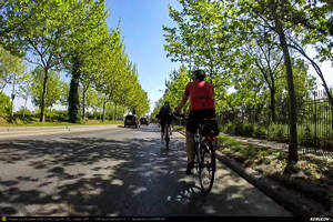 Trasee cu bicicleta MTB XC - Traseu SSP Bucuresti - Cernica - Fundeni - Plataresti - Podu Pitarului - Cucuieti - Progresu - Sohatu - Solacolu - Fundulea - Islaz - Branesti - Vadu Anei - Fundeni - Posta - Balaceanca - Popesti-Leordeni - Bucuresti de Andrei Vocurek