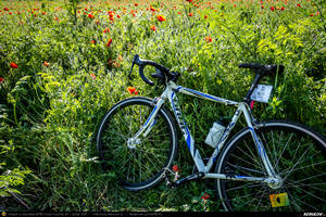 Trasee cu bicicleta MTB XC - Traseu SSP Bucuresti - Alunisu - 1 Decembrie - Gradistea - Falastoaca - Comana - Uzunu - Calugareni - Singureni - Darasti-Vlasca - Adunatii-Copaceni - 1 Decembrie - Alunisu - Bucuresti de Andrei Vocurek