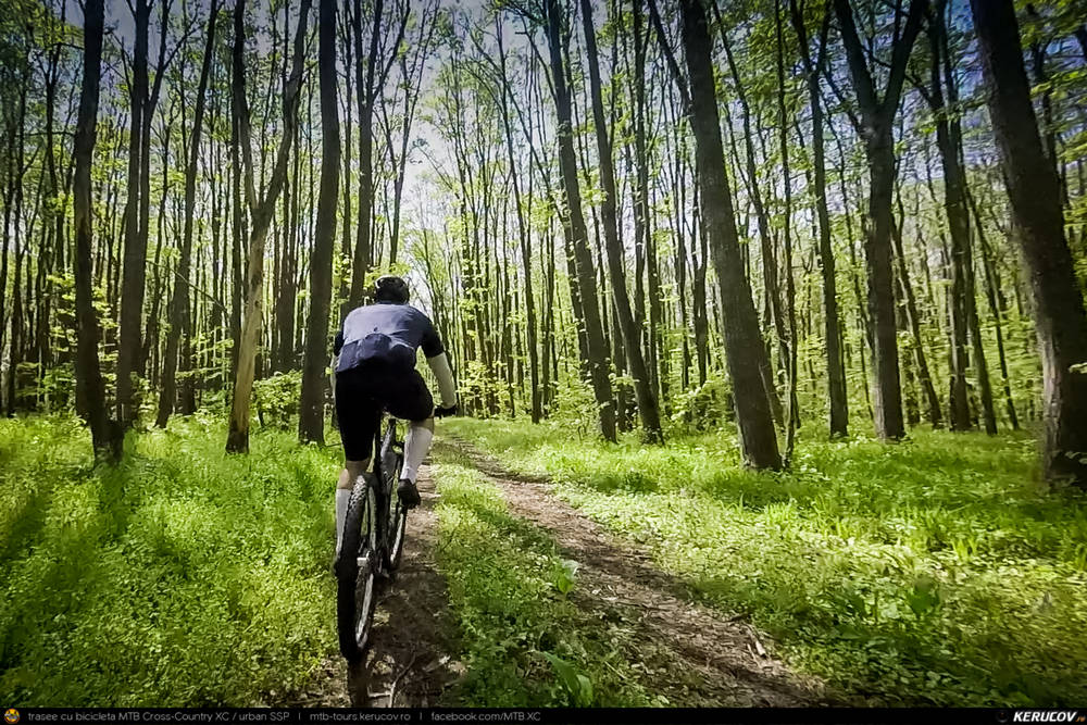 Traseu MTB Brazi - Popesti - Stejaru - Piatra - Cocorastii Colt - Coltu de Jos - Varnita - Sirna - Tinosu - Crivina - Poienarii Apostoli - Poienarii Burchii - Carbunari - Podu Valeni - Burias - Balteni - Padurea Scrovistea - Peris -  KERUCOV .ro &copy; 1997 - 2025 || Andrei Vocurek