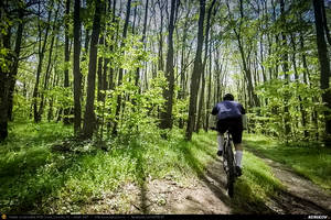 Trasee cu bicicleta MTB XC - Traseu MTB Brazi - Popesti - Stejaru - Piatra - Cocorastii Colt - Coltu de Jos - Varnita - Sirna - Tinosu - Crivina - Poienarii Apostoli - Poienarii Burchii - Carbunari - Podu Valeni - Burias - Balteni - Padurea Scrovistea - Peris de Andrei Vocurek