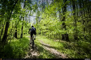 Trasee cu bicicleta MTB XC - Traseu MTB Brazi - Popesti - Stejaru - Piatra - Cocorastii Colt - Coltu de Jos - Varnita - Sirna - Tinosu - Crivina - Poienarii Apostoli - Poienarii Burchii - Carbunari - Podu Valeni - Burias - Balteni - Padurea Scrovistea - Peris de Andrei Vocurek