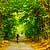 Traseu MTB Bucuresti - Gradistea - Comana - Parcul Natural Comana - KERUCOV .ro © 2007 - 2025 || #traseecubicicleta #mtb #ssp